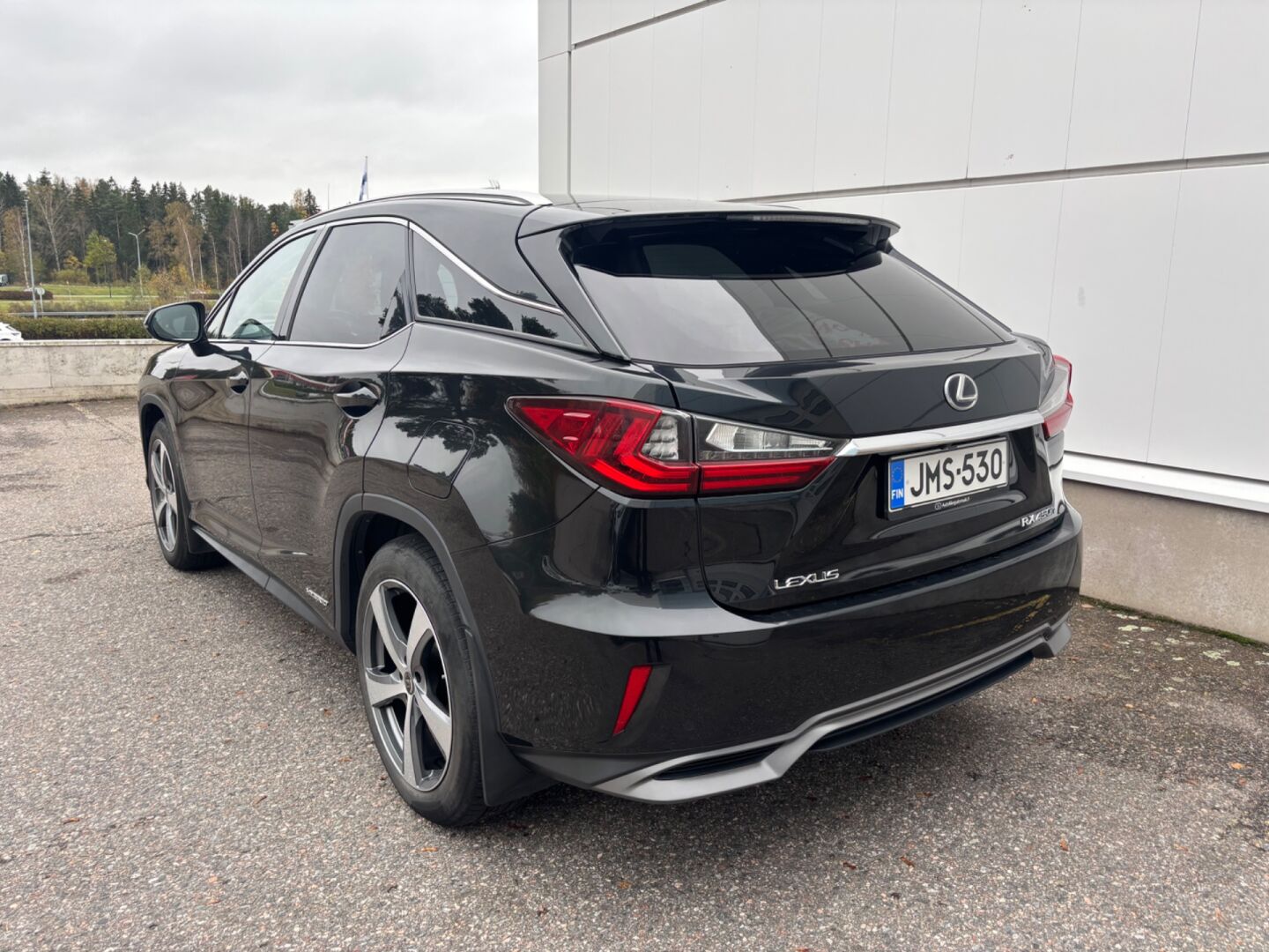 Lexus RX 450h Hybrid 4WD A Executive 2019, bild 3/22