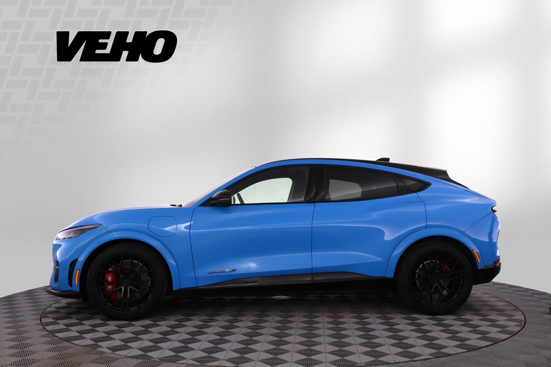 Ford Mustang Mach-E 2021, photo 2/23